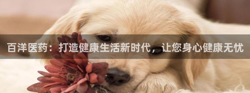 j9九游会官网