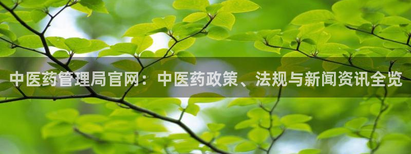 九游会 app