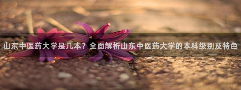 九游会网址是什么情况