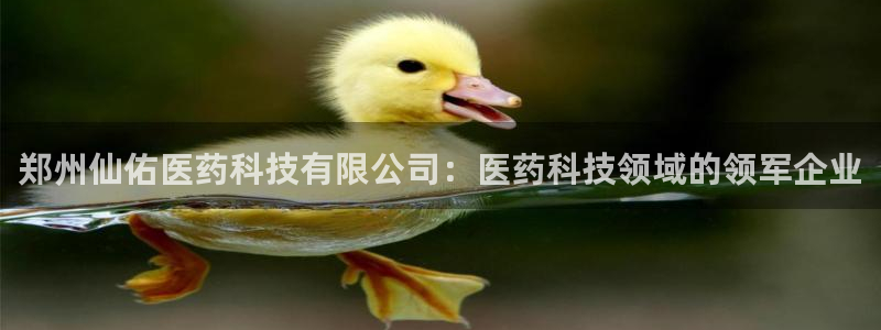 九游会登录网址多少