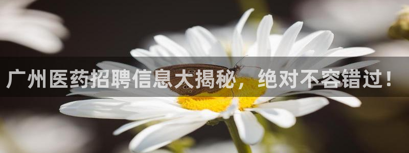 九游会是干嘛的软件