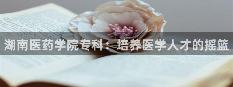 j9九游会app下载