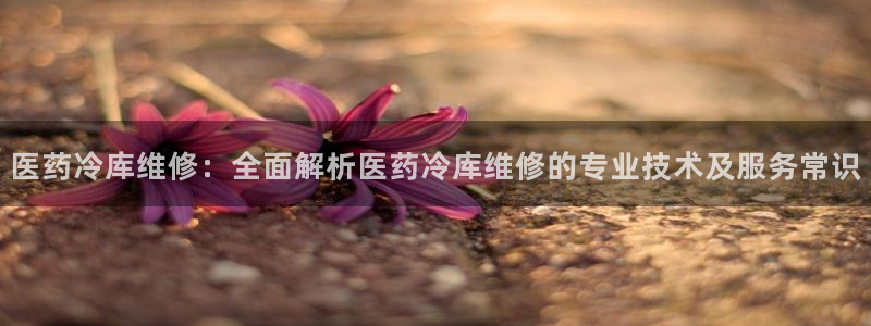 J9九游会首页