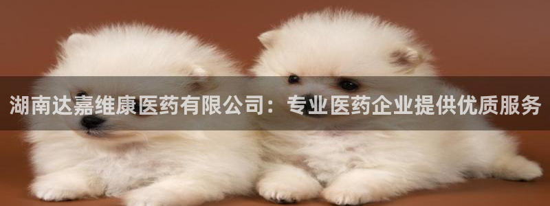 九游会集团币圈