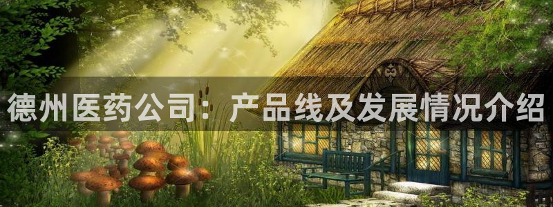 九游会官网首页进入吗
