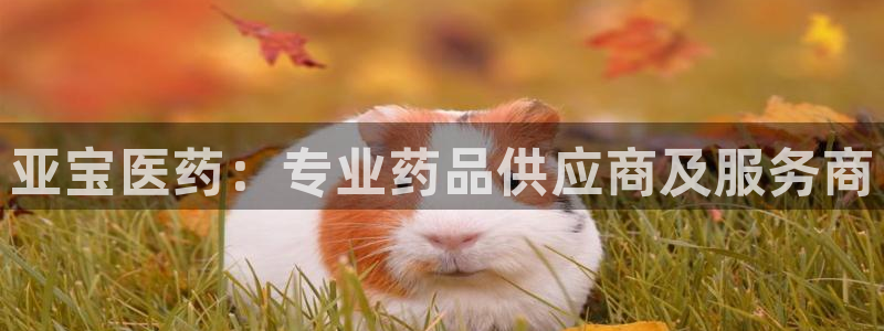 九游会直营