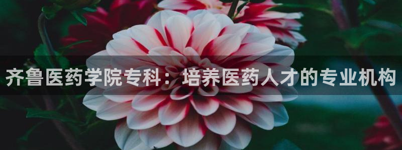 九游会usdt