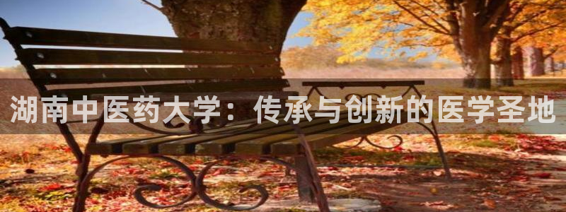 九游会网址是什么