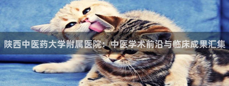 九游会agapp