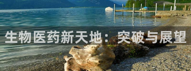 J9九游会老网站