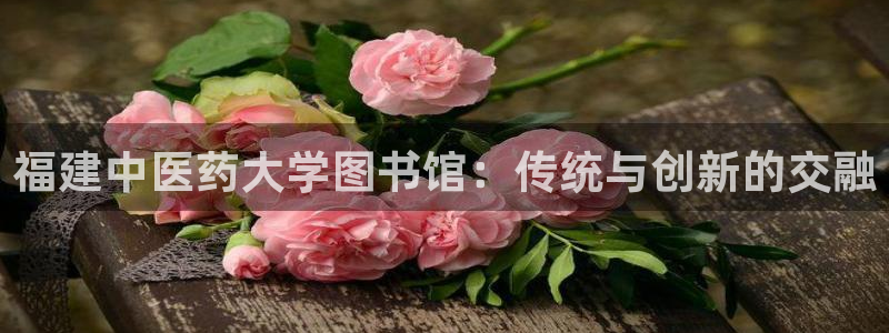 j9九游会ag8手机aPP