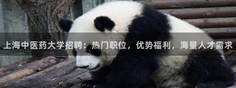 九游会视讯,九游会视讯官网
