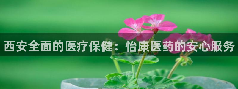 九游会app官方下载