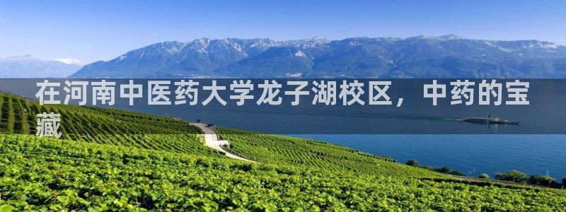 j9九游会老哥俱乐部介绍