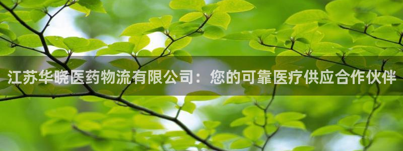 九游会中国官方网站