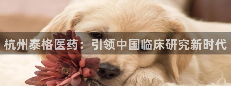 九游会网址最新