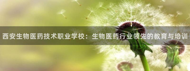 j9九游会真人手机版