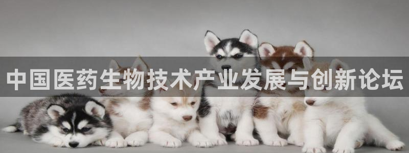 ag九游会登录网站
