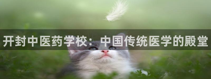 九游会国际站