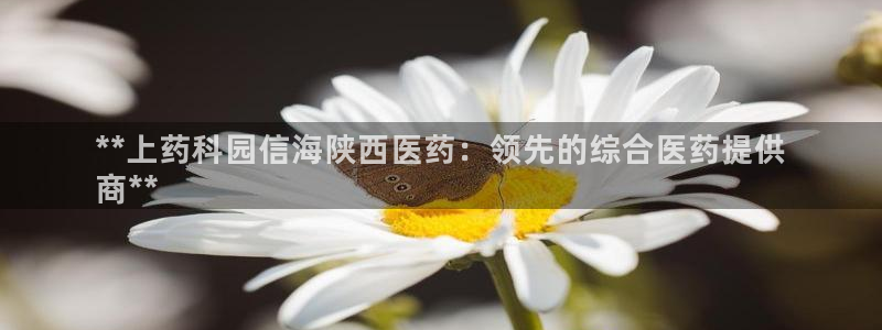 九游会直营