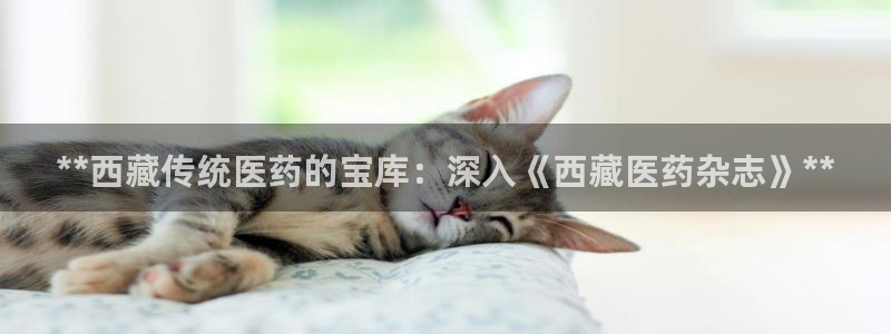j9九游会