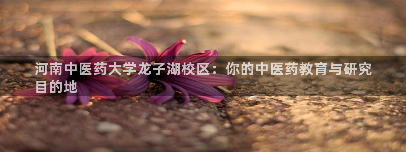 九游会AG下载手机端