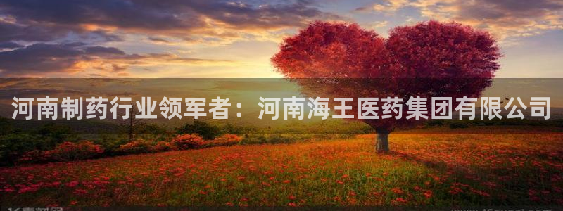 九游会j9官网