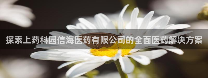 九游会官方首页登录