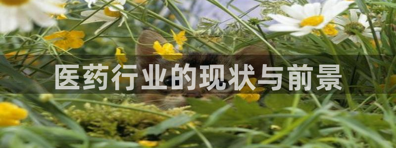 九游会平台老哥俱乐部