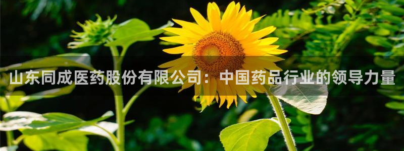 j9九游会网址