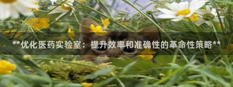 九游会平台j9