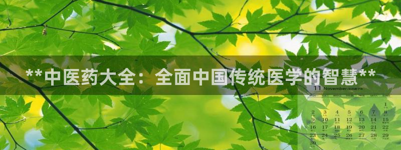 九游会是什么组织