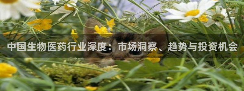 九游会官网页登录