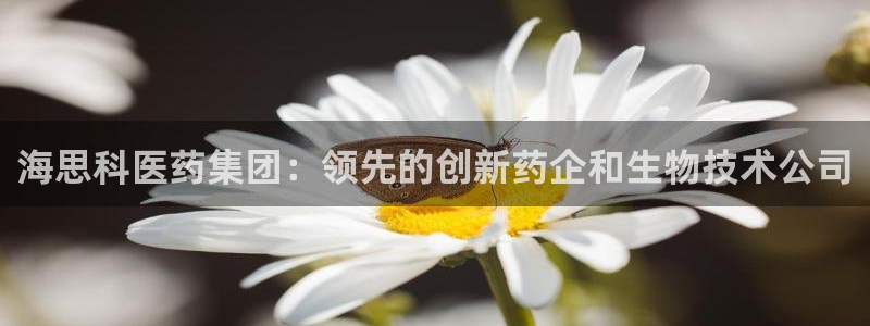 ag8九游会登入