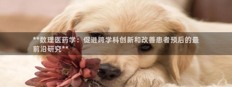 九游会ag网址大全专业版