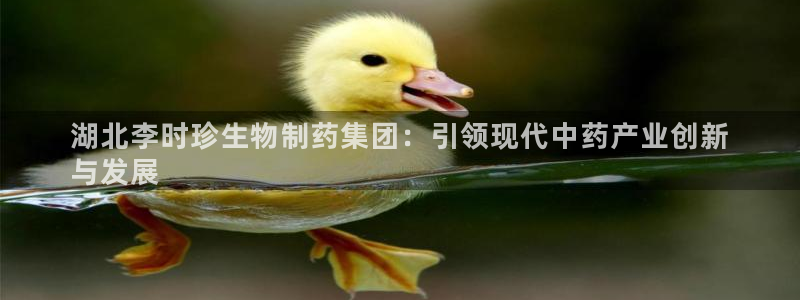 九游会官网站