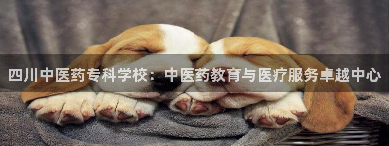 九游会官网下载最新版