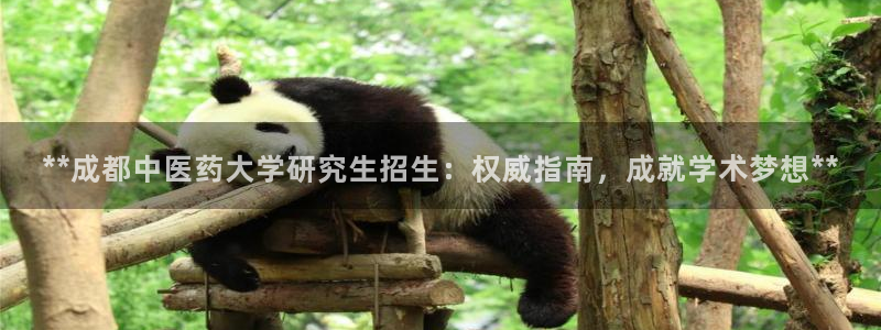 九游会平台