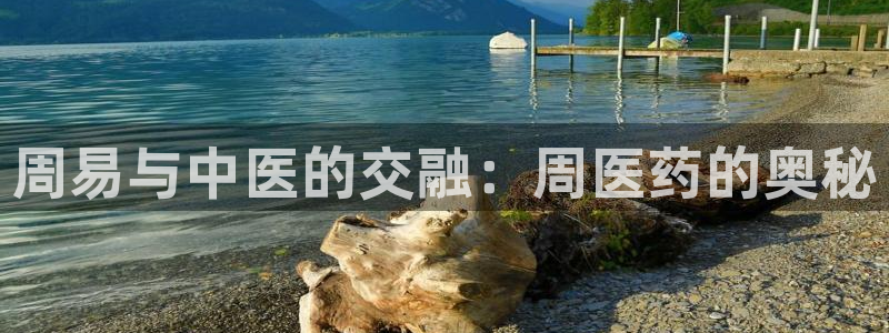 九游会官网可靠的