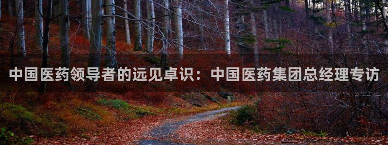 九游会集团菲律宾