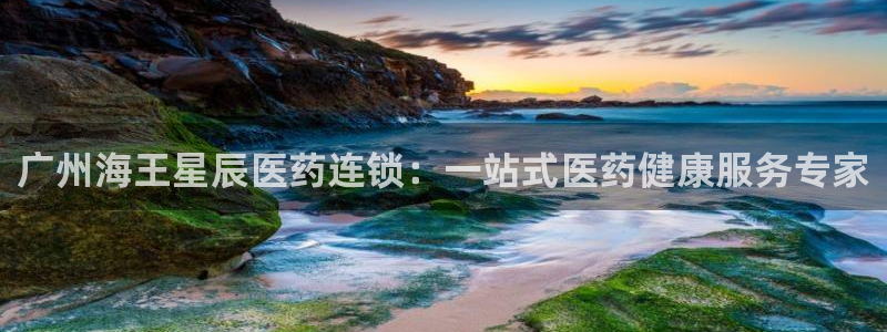 九游会ag官方网站在哪
