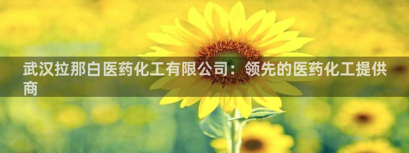 九游会ag入口