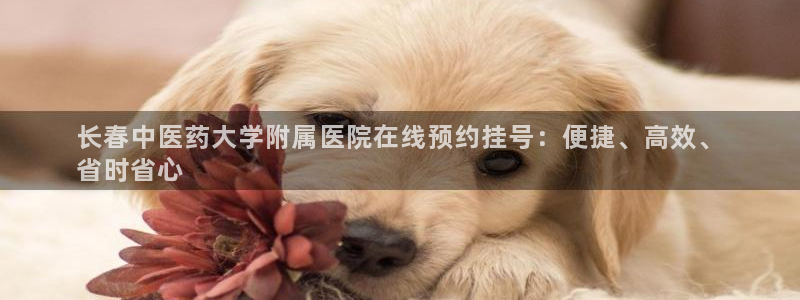 九游会官网首页进入吗