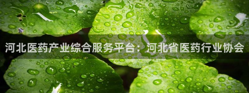 九游会官网APP平台