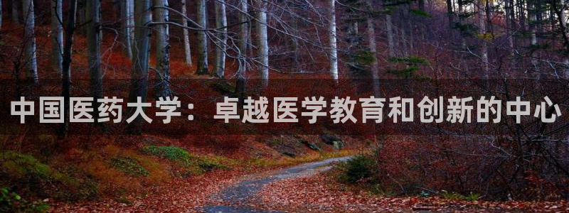 j9九游会app官方下载
