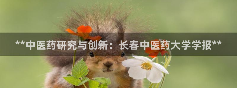 九游会平台登录不上