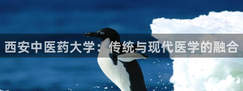 九游会上不去了
