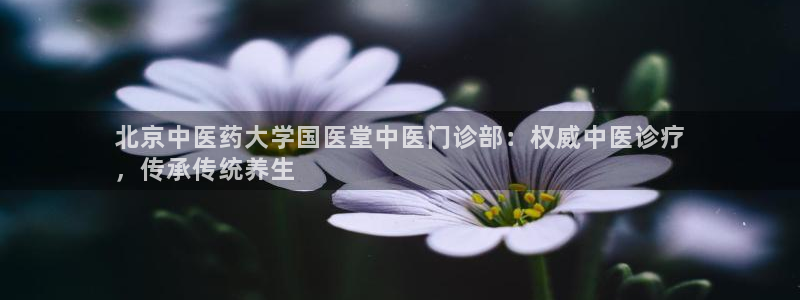 ag九游会j9