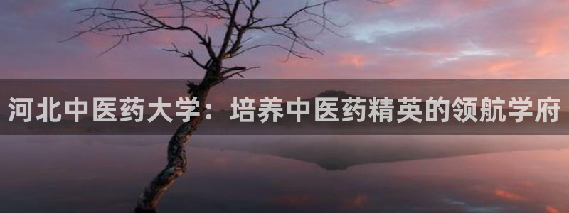 j9九游会最新版