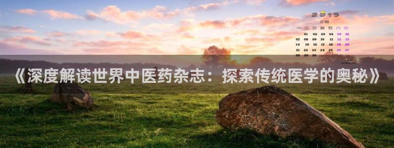 ag改名九游会